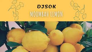 DJ SOK - LEMONADE