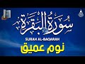 سورة البقرة كاملة مكتوبة لطرد الشياطين وحفظ وتحصين المنزل تلاوة هادئة راحة نفسية لا توصف