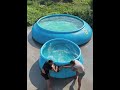 Dost ko 🛀 bathtub main dakhela 🤪🤪🤪🤣🤣🤣😱 #cartoon #viral