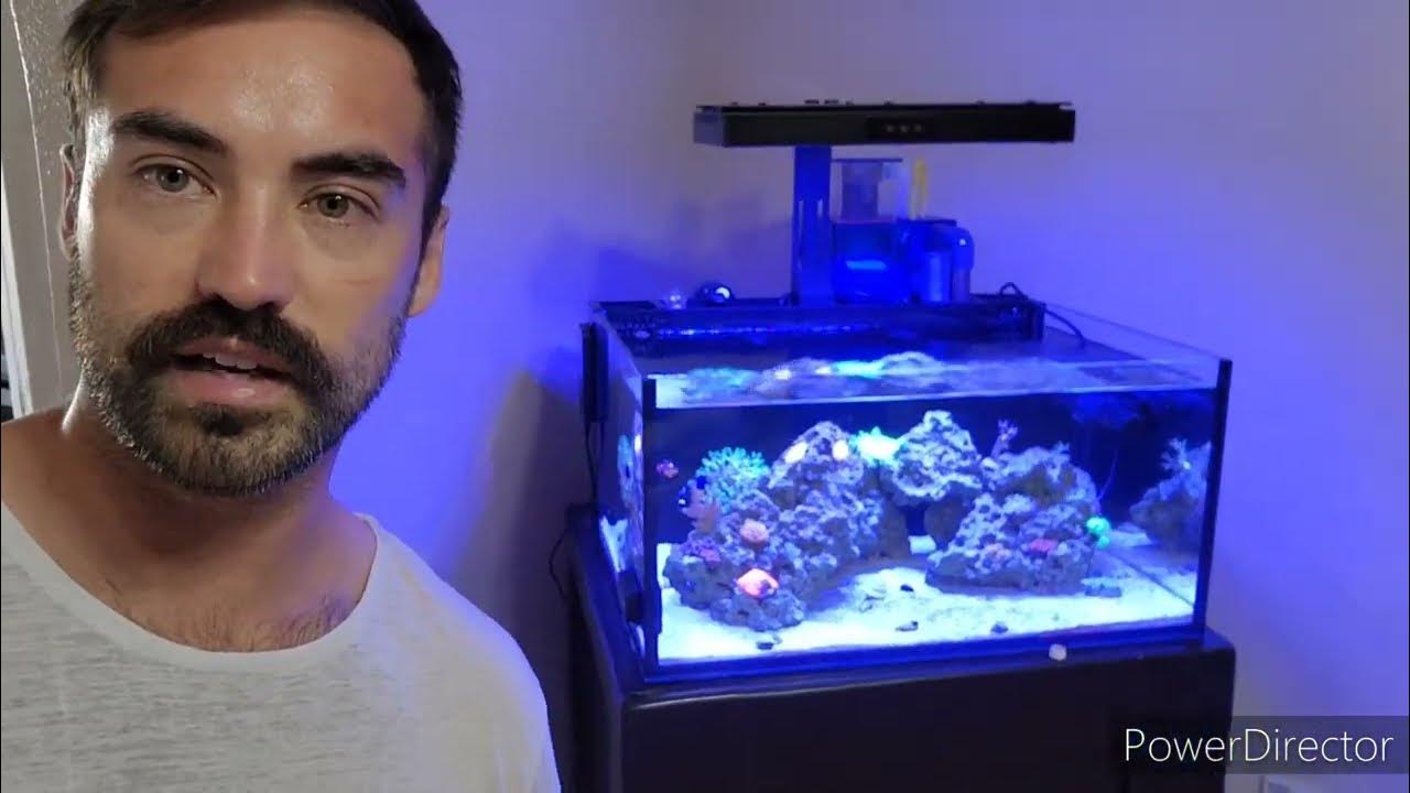 Red Sea Reefer 350 Reef Aquarium Set Up YouTube