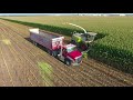 Hauling Corn Silage at Stone Ridge Dairy August 2018