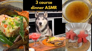 Asmr Dog Reviewing Three Course Dinner #asmr