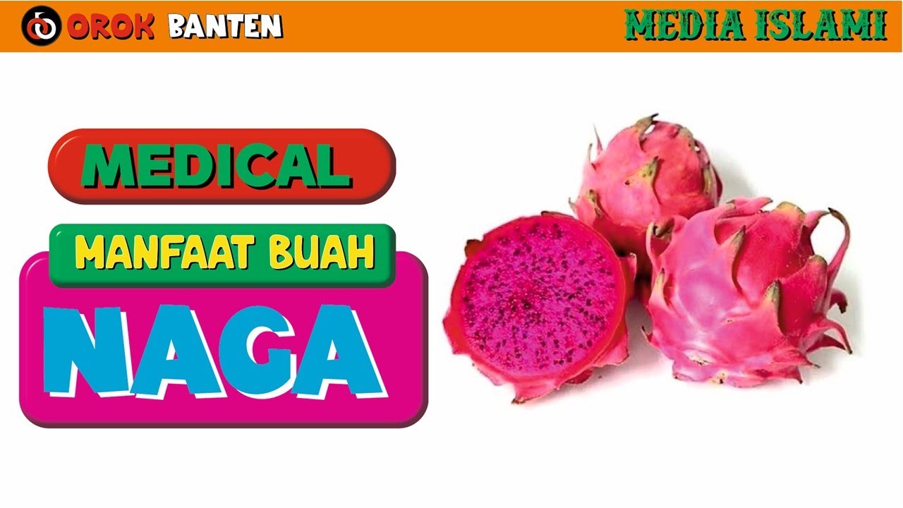 Manfaat BUAH NAGA Kesehatan Benefits of DRAGON FRUIT Health YouTube
