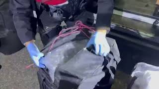 113 kg Skunk uyuşturucu maddesi ele geçirildi