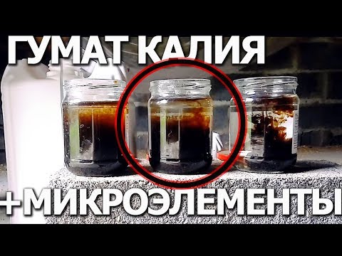 Видео: Как се счупва стеблото на клапана на гумата?