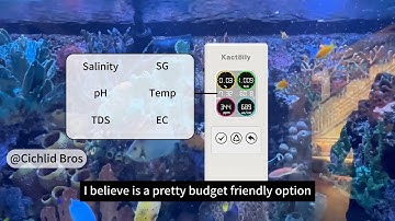 Kactoily 6-in-1 Water Quality 24/7 Monitor & Tester