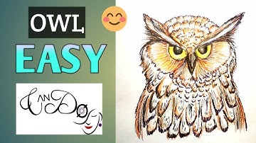 How To Draw An Owl Step By Step For Beginners | Easy Real Owl Drawing Tutorial | Easy Animal Drawing
