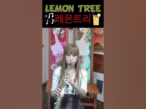 #Lemon Tree#레몬트리#Fools Garden#풀스가든#박혜경#비긴어게인#봄노래#소프라노색소폰조지영#조이뮤직라이브방송매주목요일저녁9시#신청곡 - Youtube