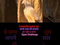 ये daylok सुनकर तुम अपने आप को संभाल ही नहीं पाओगे💪💪😮😮। open chailenge