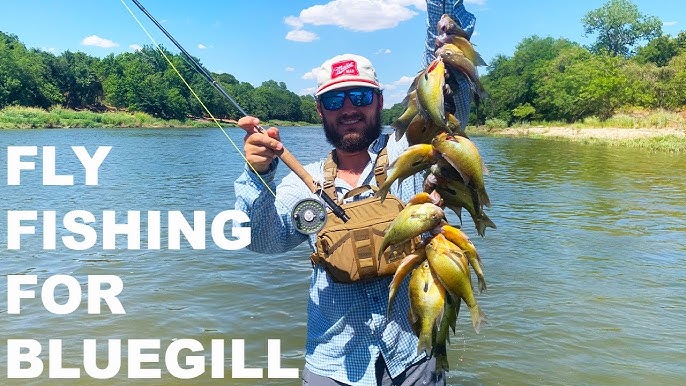 Fly Fishing Bluegill: This Fly WORKS 