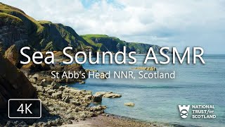 1 Hour Sea Sounds ASMR: St Abb's Head, Scotland | Stress Relief & Relaxation