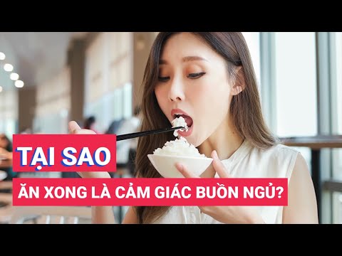 Tại sao cứ ăn xong là buồn ngủ? - youtube