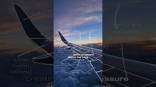 how do airplanes fly? #explained #science