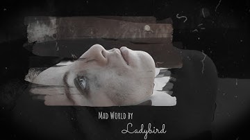 Mad World- Ladybird