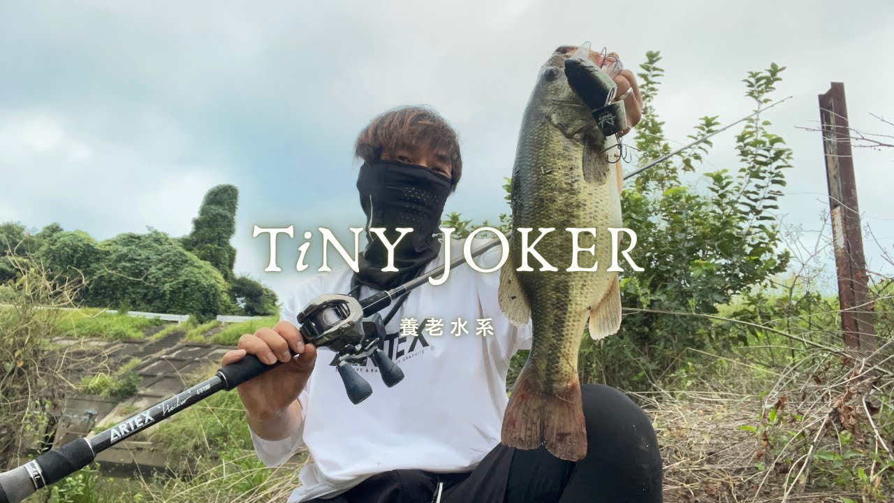 Leurre De Pêche DRT TiNY Joker Topwater, Couleur Perche Tule Bone, 1.5oz, Made In Japan