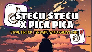 Download Lagu DJ TIKTOK STECU X PICA PICA TERBARU SLOWED FULL BASS TERBARU 2025🎶 MP3