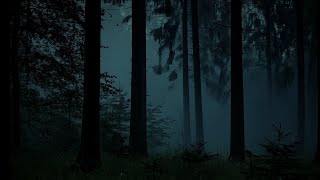 Woods Ambience at Night | Owls, Crickets, Foggy Forest Sounds for Deep Sleep & Relaxation
