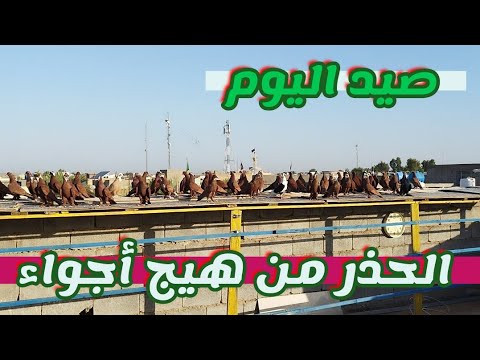 صيد اليوم والحذر من هيج أجواء 23/6/2026