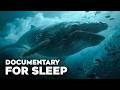 Forgotten Oceans of Prehistoric Earth | Documentary For Sleep