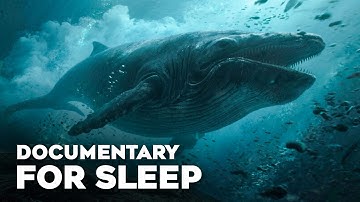 Forgotten Oceans of Prehistoric Earth | Documentary For Sleep