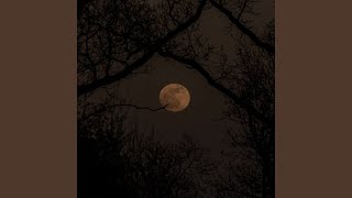 Autumn Murmur