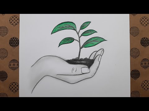 Yeşili Sev Ağaçları Koru, El İçinde Fidan Çizimi Adım Adım Nasıl Çizilir, Çizim Hobimiz Resimleri