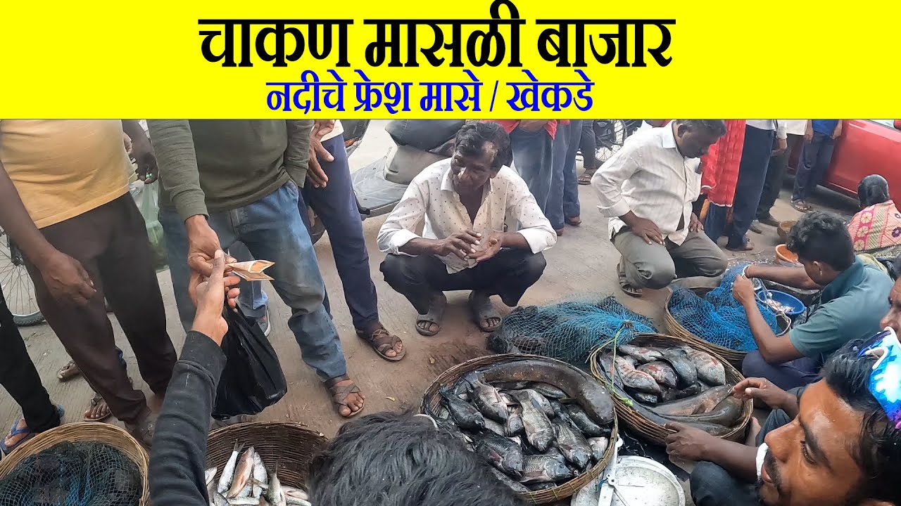 चाकण मासळी बाजार - नदीचे फ्रेश मासे आणि खेकडे | रविवार -12/10/2025 |
