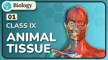 01 | Animal Tissue Class 9 | WBBSE Class 9 Life Science Chapter 6.B in Hindi | By Shifat Ahmed