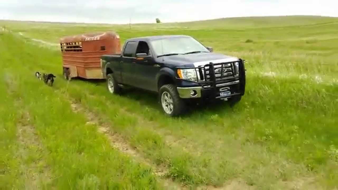 2012 Ford F150 Towing Capacity >> 2012 Ford F 150 5 0 Towing 8 000 Lb Stock Trailer Up 5 Grade 2012 Ford F150 Towing Capacity >> 2012 Ford F 150 5 0 Towing 8 000 Lb Stock Trailer Up 5 Grade