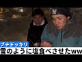 雪のように塩食べさせた時の反応www【ドッキリ】#shorts