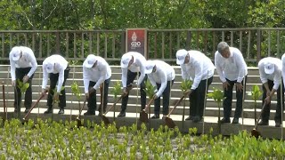 Leaders plant mangroves on final day of G20 | AFP