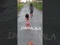 my kids HAHA🤣 #automobile #highlights #subscribers #travel #angmgamisteryongliwanag #followersreels