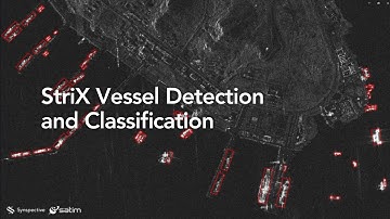 Unveil the changing world for D&I 2025 | Synspective