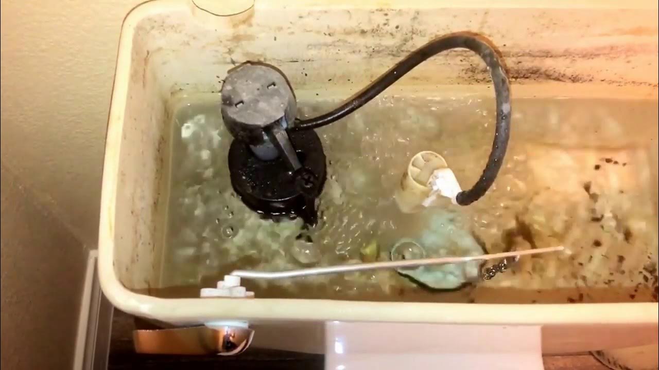 How to Fix Your Running Hissing Noisy Toilet (EASY!!!) YouTube