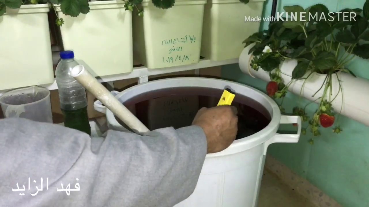 طريقة خلط محاليل المغذية #الزراعة_المائية_الهيدروبنك_المنزلية.