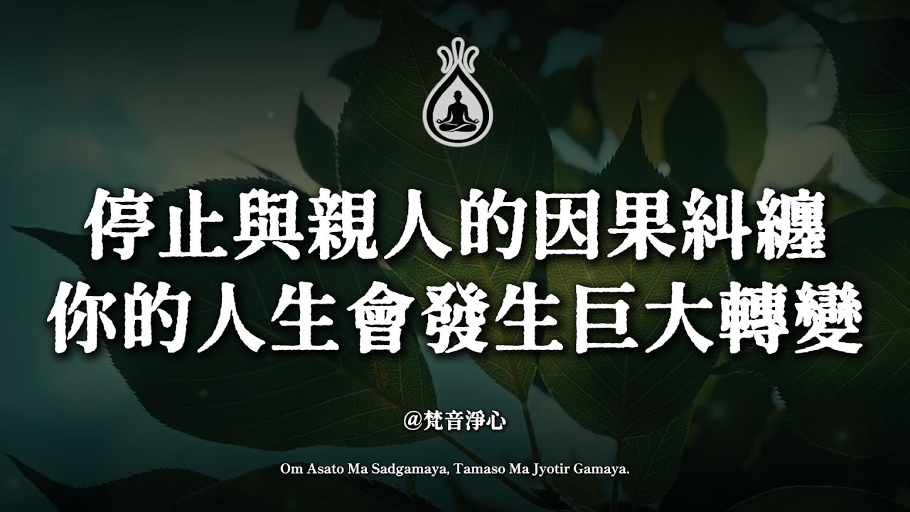 停止與親人的因果糾纏，你的好運才會真正開始#親人之間的因果 #最親的人最深的傷 #佛學智慧 #因果業力 #放下執念 #家庭關係 #心靈成長 #怨親債主 #療癒 #金剛經 #地藏經 #覺醒 #慈悲