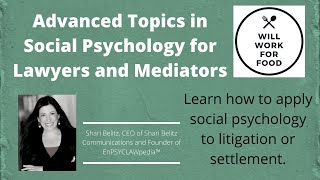 Shari Belitz - Advanced Topics in Social Psychology for Lawyers and Mediators for Will Work For Food screenshot 5