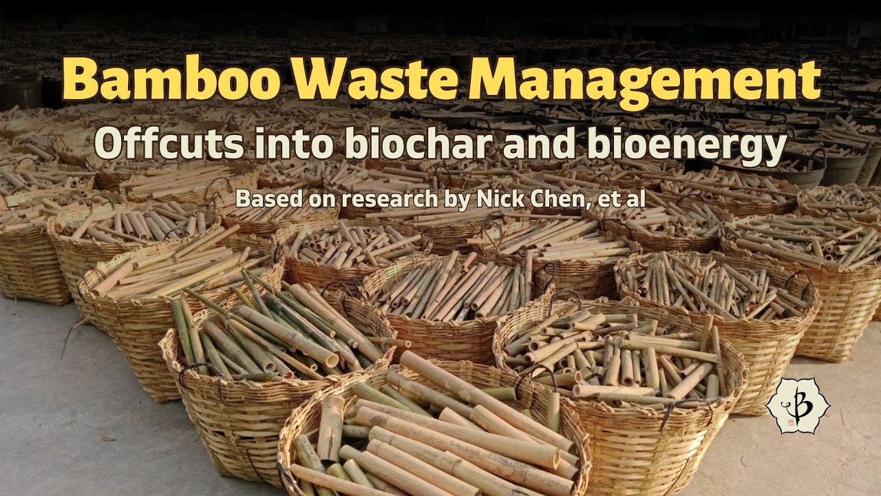 Bamboo Waste Management: A comparative study