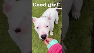 Lola Is Such A Good Girl