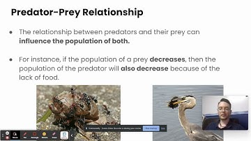 Environment Interactions: Predation