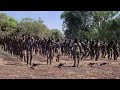 Gooticha Waraana Bilisummaa Oromoo Wbo Birgedi Leencota 