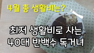 [브이로그#68] 반백수 40대 독거녀의 4월 생활비공개/쿠팡알바,당근알바로 먹고사는 반백수/할인상품만 구매하는 짠순이/과자를 끊어보려는 40대