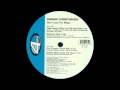 1999 shawn christopher  dont lose the magic eric kupper vocal rmx
