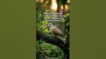 Psalm 16:8 #jesus #bibleverse #shorts
