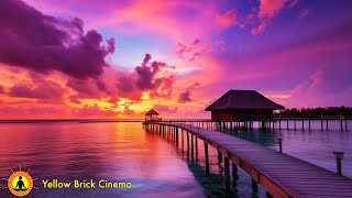 3 Hour, Zen Music, Stress Relief Music, Sleep Music, Meditation Music, Study, Soothing Ocean Waves by Yellow Brick Cinema - Relaxing Music 2,823 views 2 days ago 3 hours