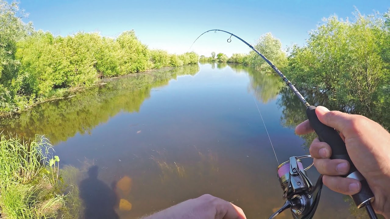 спиннинг летняя рыбалка видео