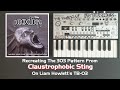 Recreating The 303 Acid Pattern From Claustrophobic Sting By The Prodigy On Liam Howlett's TB-03