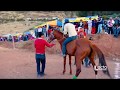 PERÚ - EL CAPO CAMPEON - CARRERA DE CABALLOS - ANTABAMBA