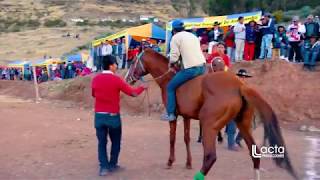 PERÚ - EL CAPO CAMPEON - CARRERA DE CABALLOS - ANTABAMBA