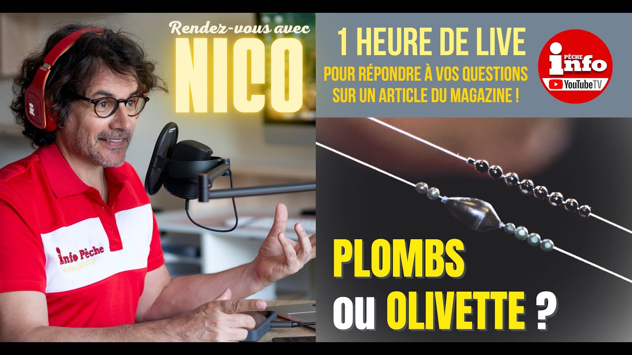 PLOMBS OU OLIVETTE ?